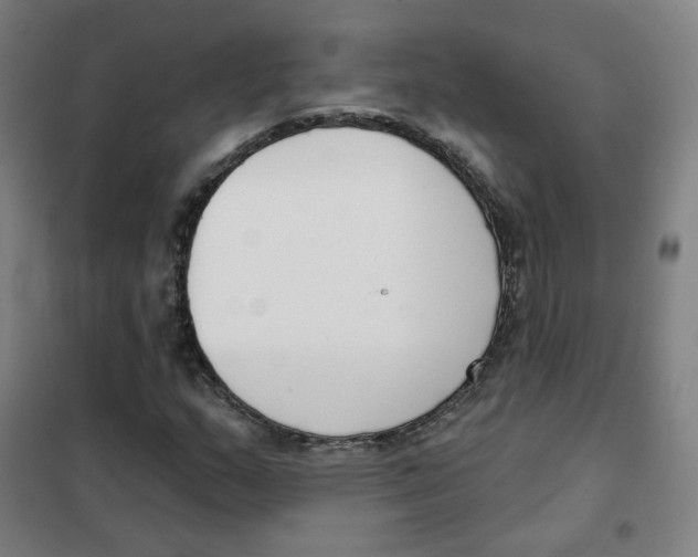 X0000101421159200808041121