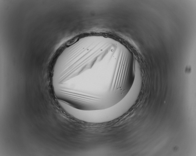 X0000101421160200808041121