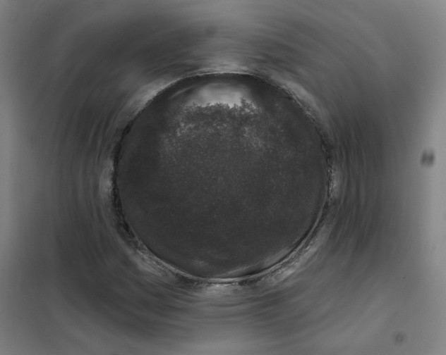 X0000101421161200808041121