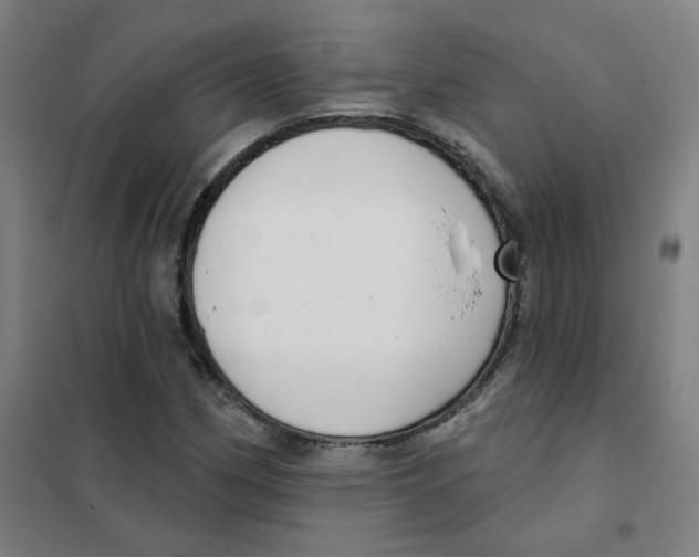 X0000101421162200808041121
