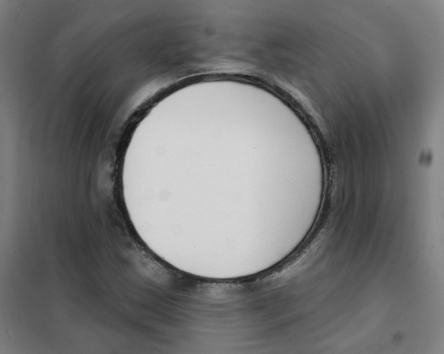 X0000101421163200808041121