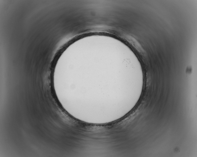 X0000101421164200808041121