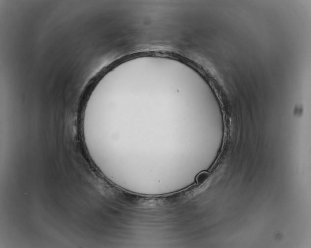 X0000101421165200808041121