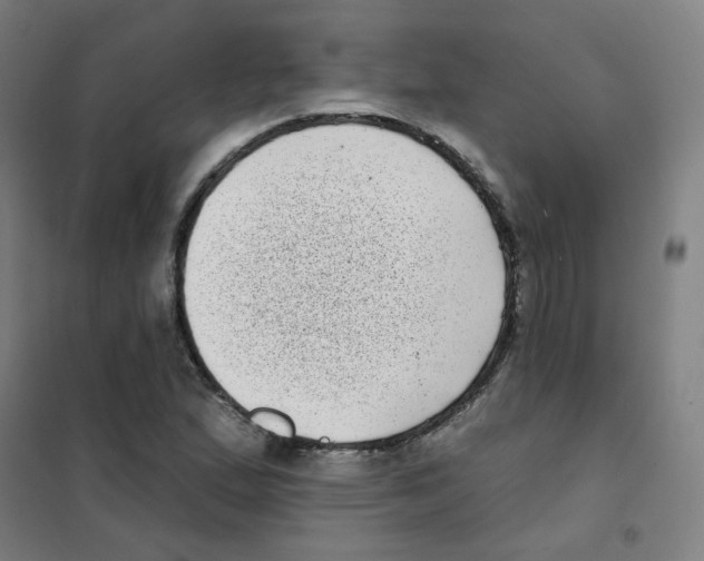 X0000101421167200808041121