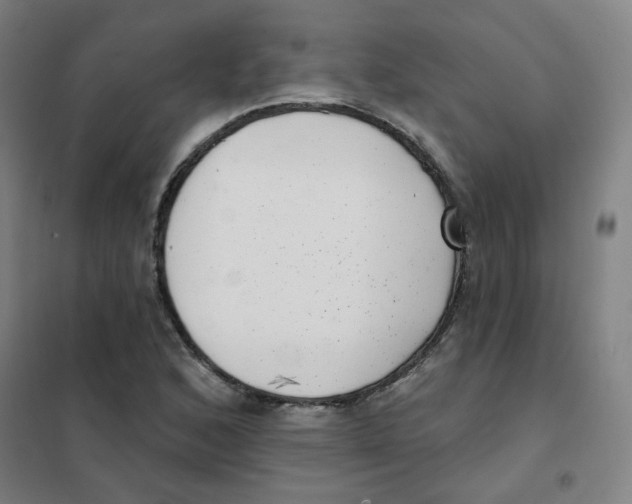 X0000101421168200808041121