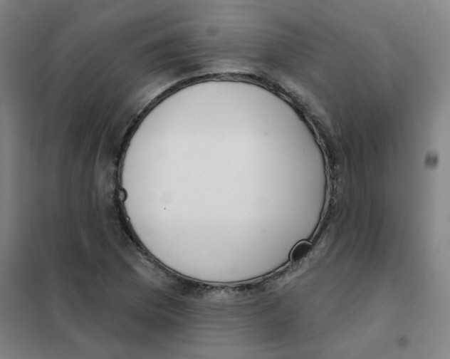 X0000101421169200808041121