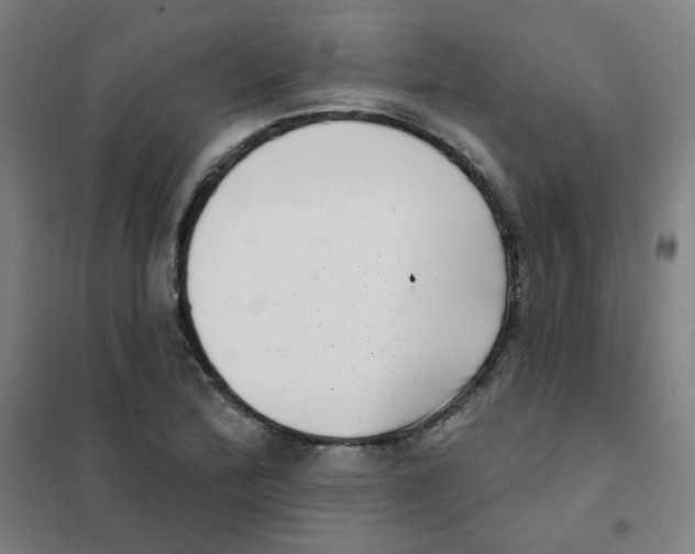 X0000101421172200808041121