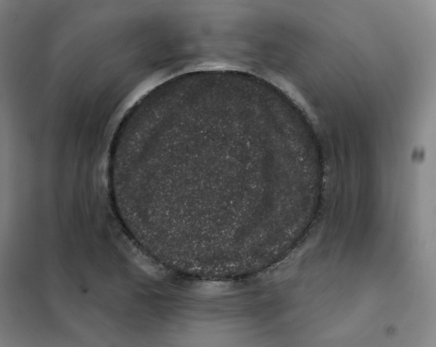 X0000101421173200808041121