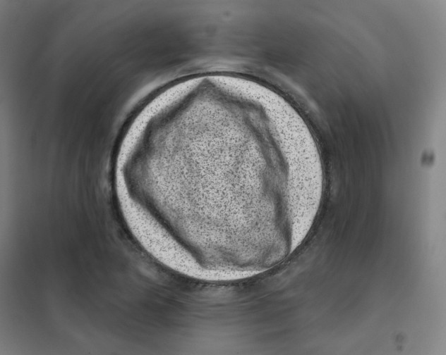 X0000101421174200808041121