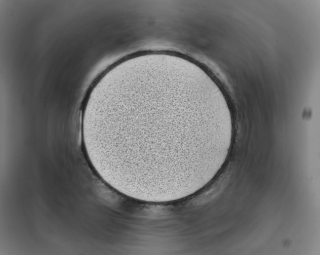 X0000101421175200808041121