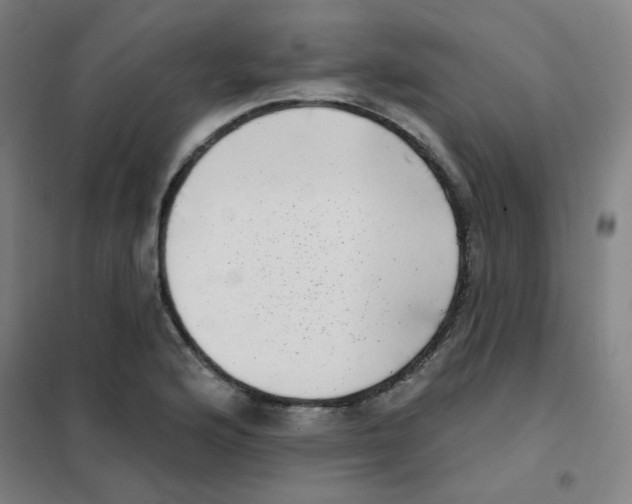 X0000101421176200808041121