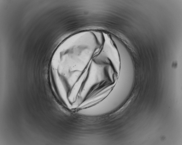 X0000101421177200808041121