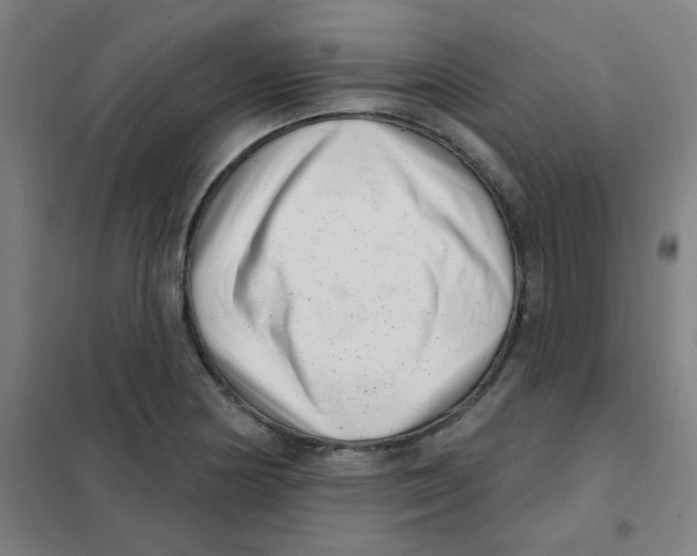 X0000101421178200808041121