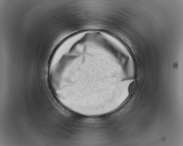 X0000101421179200808041121