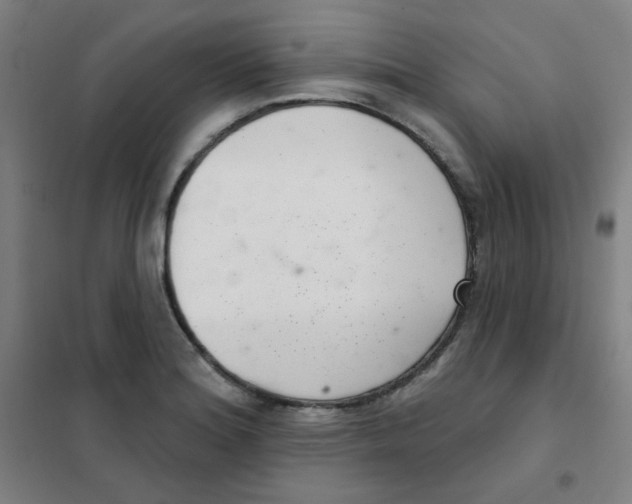 X0000101421180200808041121