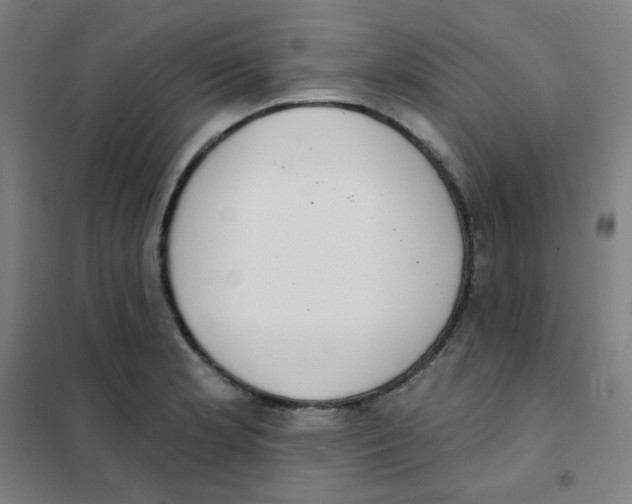 X0000101421181200808041121