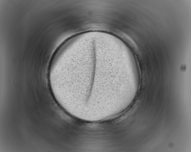 X0000101421182200808041121