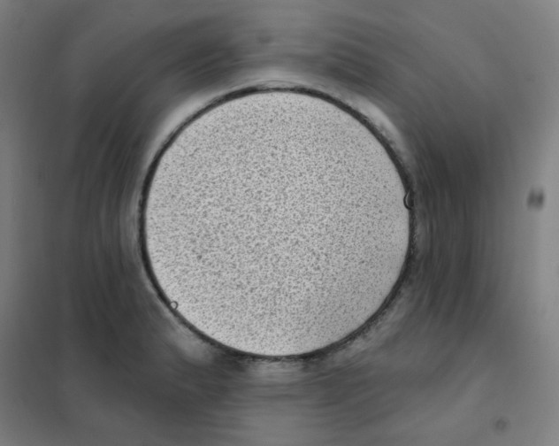 X0000101421183200808041121