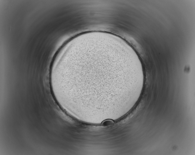X0000101421184200808041121