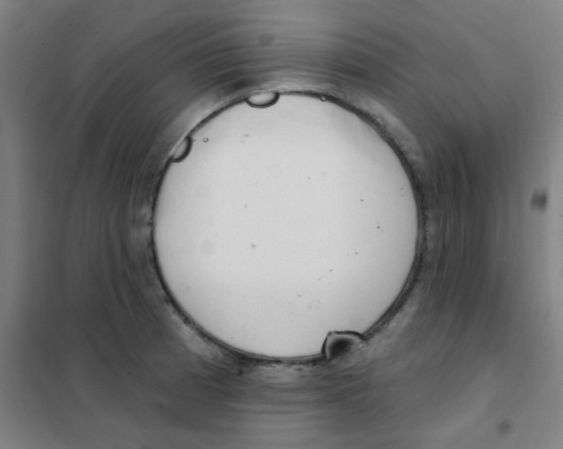 X0000101421185200808041121