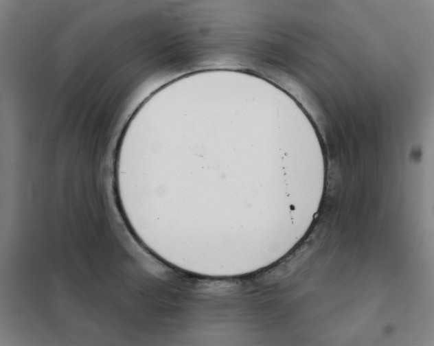 X0000101421187200808041121