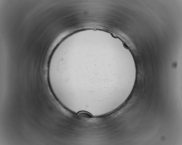 X0000101421188200808041121