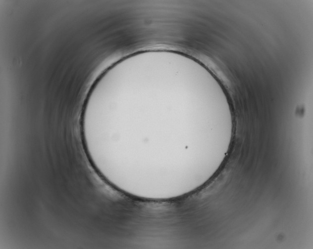 X0000101421189200808041121