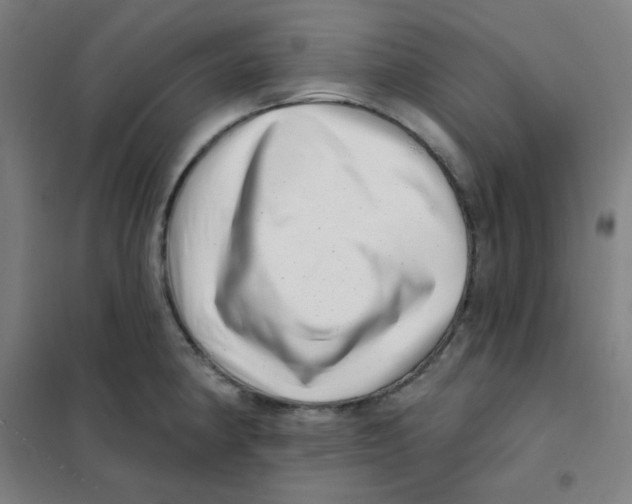 X0000101421190200808041121