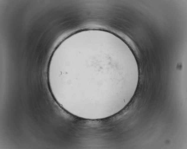 X0000101421191200808041121