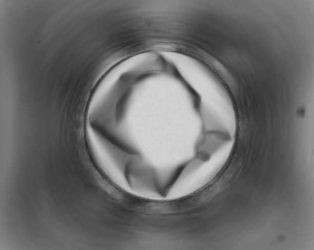 X0000101421194200808041121
