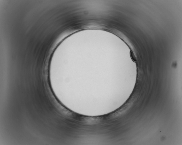 X0000101421195200808041121