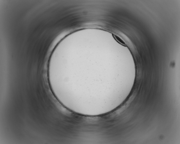 X0000101421196200808041121