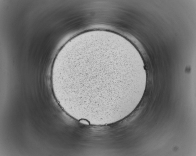 X0000101421199200808041121