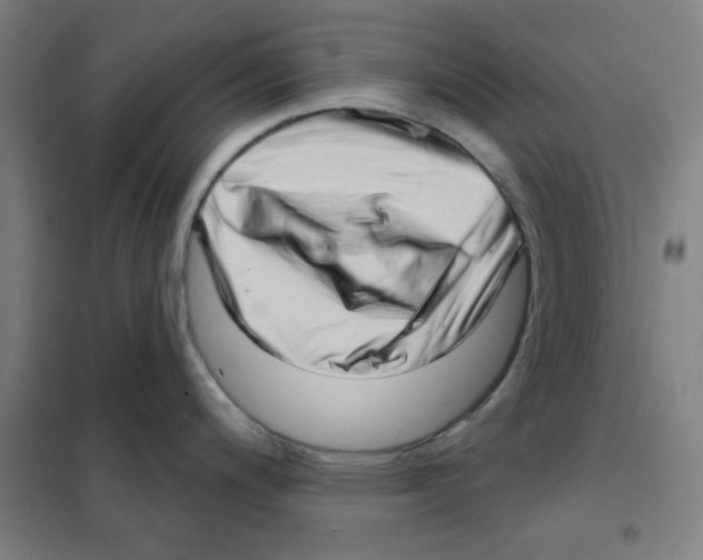 X0000101421200200808041120