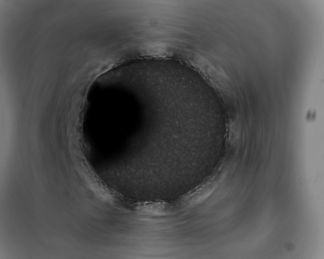 X0000101421201200808041120
