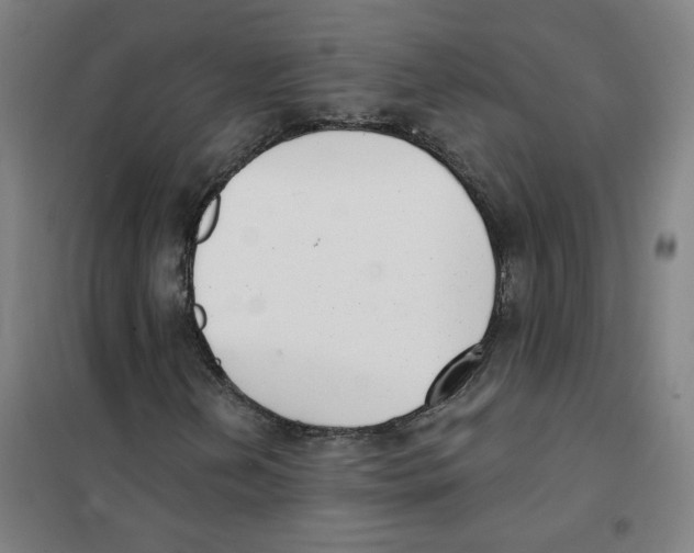 X0000101421202200808041120