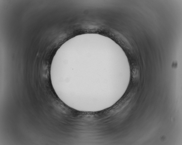 X0000101421204200808041120