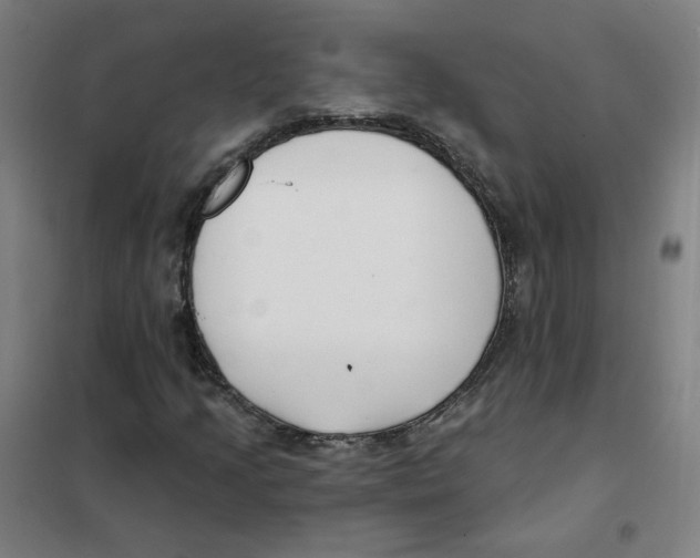 X0000101421205200808041120