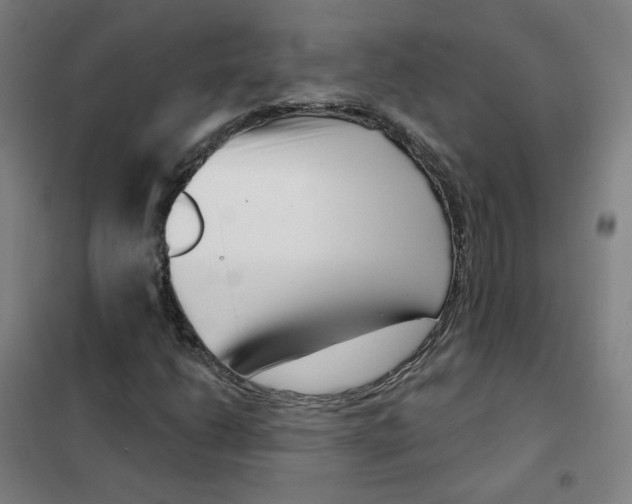 X0000101421206200808041120