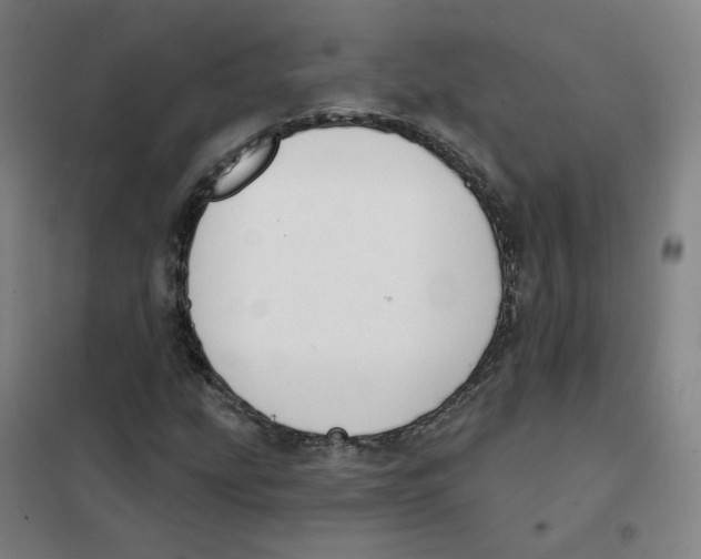 X0000101421207200808041120