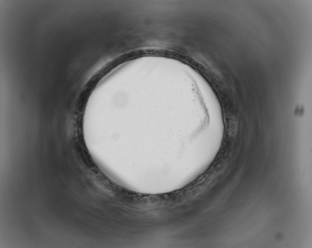 X0000101421208200808041120