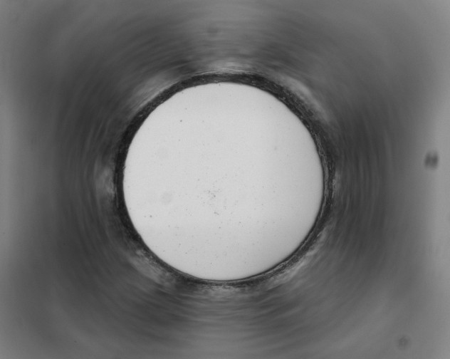 X0000101421209200808041120