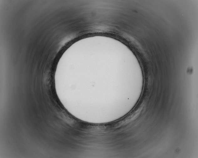 X0000101421210200808041120