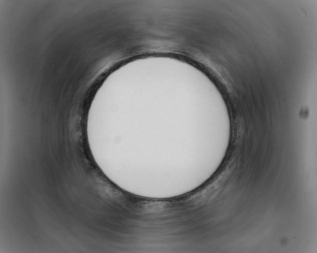 X0000101421211200808041120