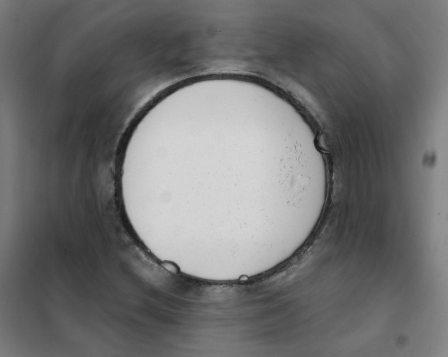 X0000101421212200808041120