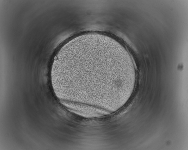 X0000101421213200808041120