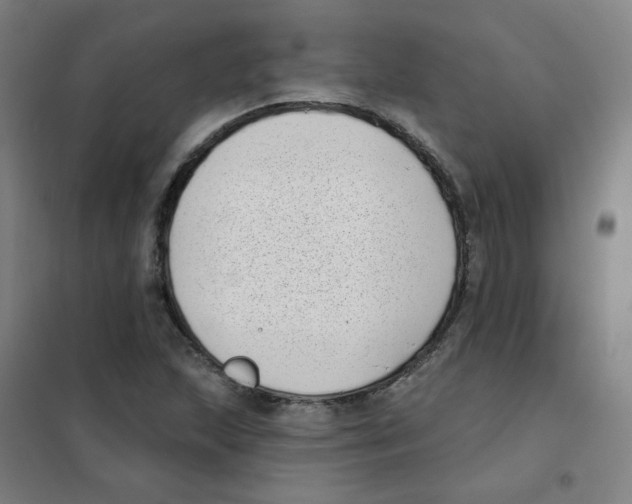 X0000101421215200808041120