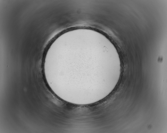 X0000101421216200808041120