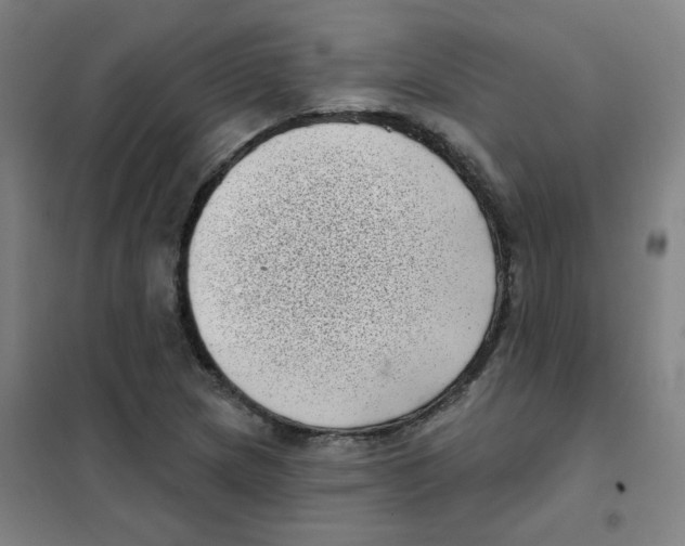X0000101421217200808041120