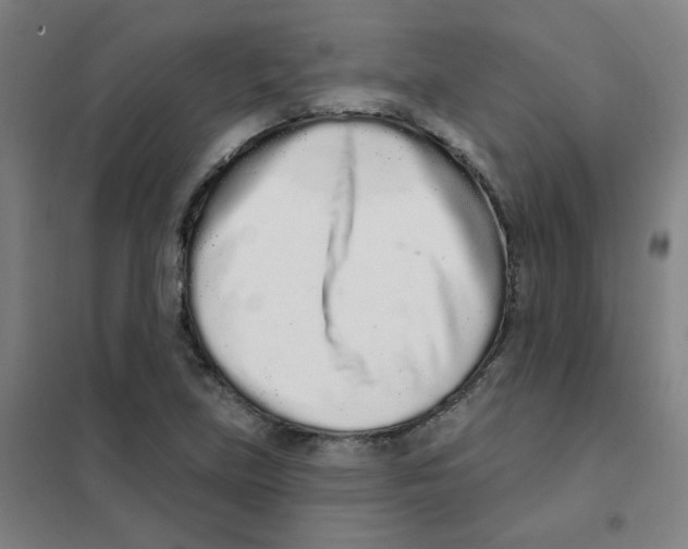 X0000101421219200808041120